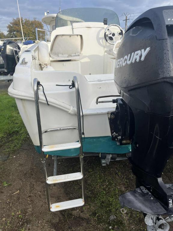 BATEAU MERY FISHER 480